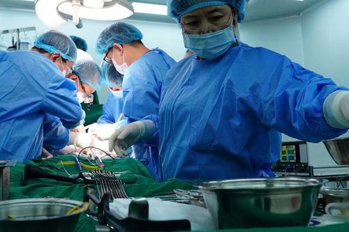 Điều phối tạng hiến cần minh bạch, khoa học và kịp thời