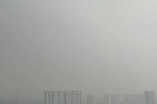 Ô nhiễm không khí được cho là liên quan đến 95.000 ca tử vong sớm