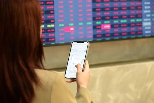 VN-Index thủng mốc 1.700 điểm, nhà đầu tư 'bắt đáy' hơn 97 triệu cổ phiếu Novaland