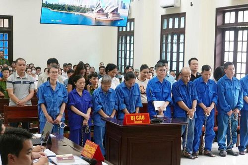 Nguyên Tổng Giám đốc Công ty CP Đồ hộp Hạ Long lĩnh 19 năm tù