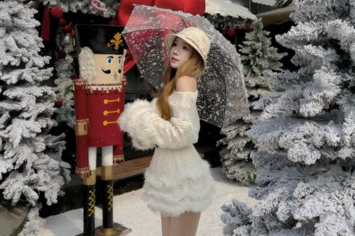 Quán cà phê TP.HCM chi 500 triệu trang trí Noel trước 3 tháng