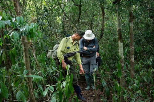 Tour du lịch duy nhất của Việt Nam lọt đề cử 'xuất sắc nhất thế giới'