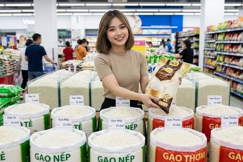 Giá lúa gạo hôm nay 30.9.2026: Hai loại gạo nguyên liệu nhích giá