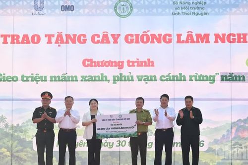 Trao tặng 86.300 cây giống lâm nghiệp cho tỉnh Thái Nguyên