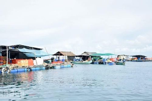 An Giang: Quy hoạch đặc khu Thổ Châu phát triển kinh tế biển, du lịch sinh thái