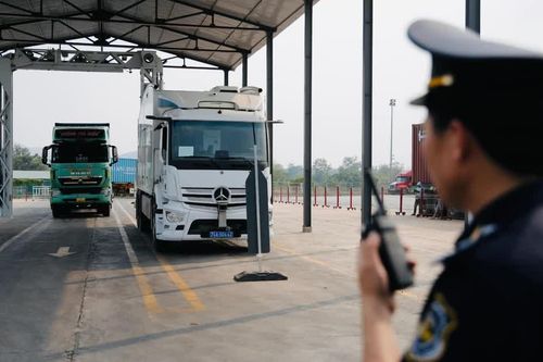 Giảm chi phí thông quan từ nền tảng tuân thủ