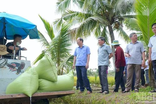 Cà Mau ưu tiên an toàn của dân, khẩn trương khôi phục sản xuất