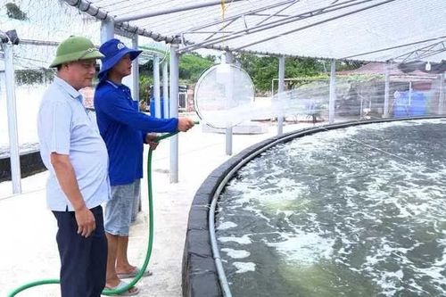 Phát triển mô hình sản xuất thủy sản bền vững, nâng cao giá trị