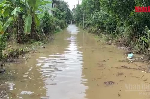 [Video] Khu dân cư cạnh cao tốc Biên Hòa-Vũng Tàu lần thứ 3 ngập trong 3 tuần