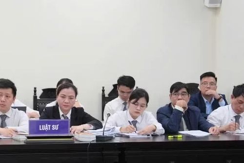 Đưa chế định luật sư công vào cuộc sống