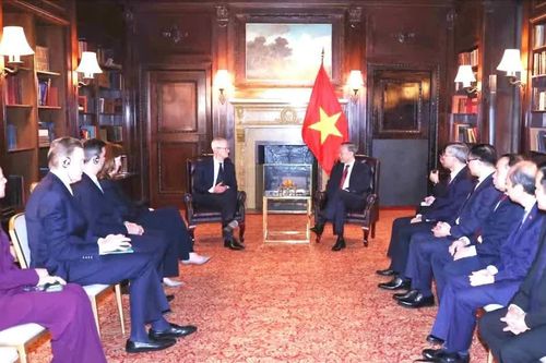 Đôi cánh bền chắc cho 'đại bàng' làm tổ