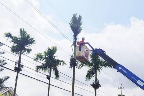 Lịch cúp điện Quảng Ngãi hôm nay ngày 1/10/2026