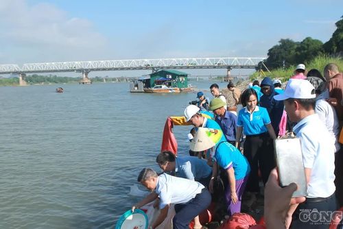 Hơn 30.000 con cá được thả xuống sông Hồng, góp phần tái tạo nguồn lợi thủy sản