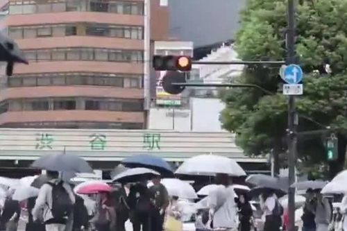 Tokyo trải qua chuỗi ngày mưa dài nhất trong lịch sử ghi nhận