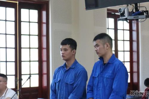 Chở người ngoại quốc nhập cảnh trái phép, hai tài xế vào tù