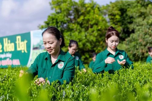Mô hình 'Hợp tác xã xã hội chủ nghĩa' ở Thái Nguyên có gì đặc biệt?