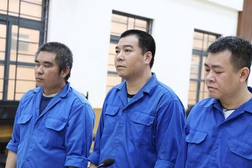 Nhóm đối tượng cướp gần 55 tấn cá tra lãnh 34 năm tù