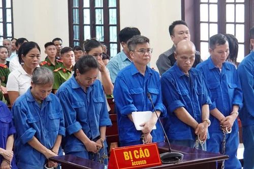 Nguyên Tổng giám đốc Công ty CP Đồ hộp Hạ Long lĩnh 19 năm tù