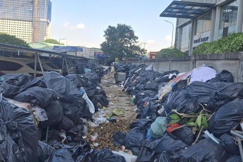 Rác thải ùn ứ nhiều ngày, cư dân chung cư giữa Hà Nội kêu trời vì mùi hôi thối