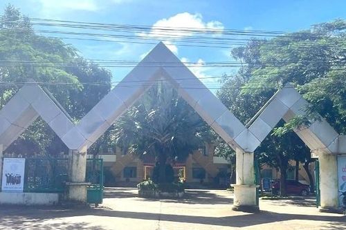 Đình chỉ giáo viên dạy lái xe sau vụ tai nạn khiến một người tử vong