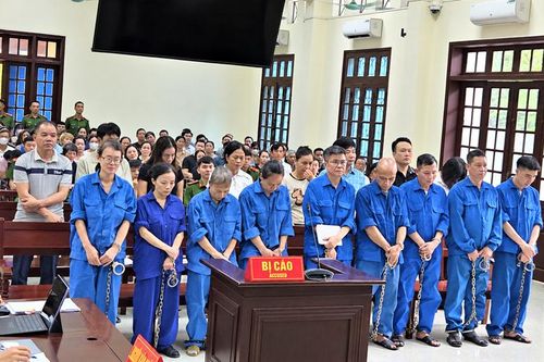 17 bị cáo hầu tòa vụ hơn 197 tấn thịt lợn bệnh vào Đồ hộp Hạ Long