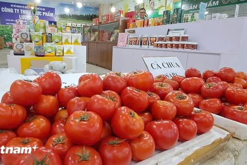 Hội chợ Làng nghề Việt Nam: Kết nối sản phẩm, văn hóa và du lịch nông thôn