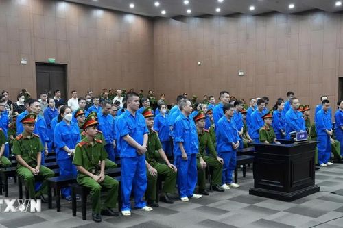 Cựu Viện trưởng Viện Pháp y tâm thần Trung ương bị đề nghị phạt 20 năm tù