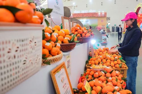 'Đưa sản phẩm OCOP và làng nghề thành động lực mới cho kinh tế nông thôn'