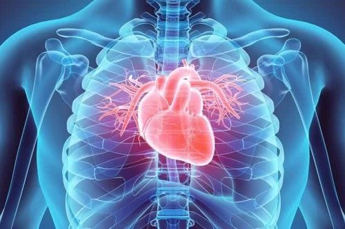 Nhật Bản: Ca phẫu thuật đầu tiên trên thế giới dùng tế bào gốc cơ tim