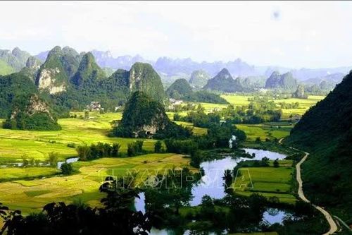 Sức hút từ điểm đến Ngọc Côn mùa vàng