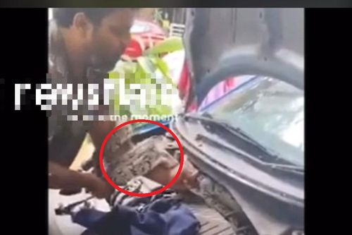 Vừa mở ô tô, người dân bỗng thấy cảnh tượng 'nổi da gà'