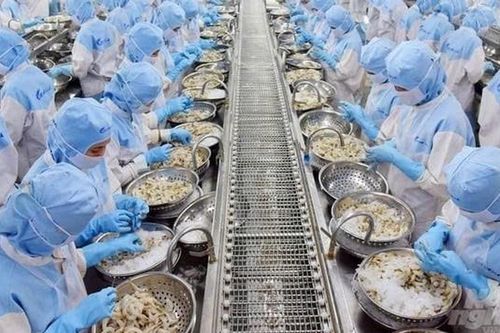 Sửa đổi, bổ sung 3 thủ tục hành chính về thủy sản, kiểm ngư