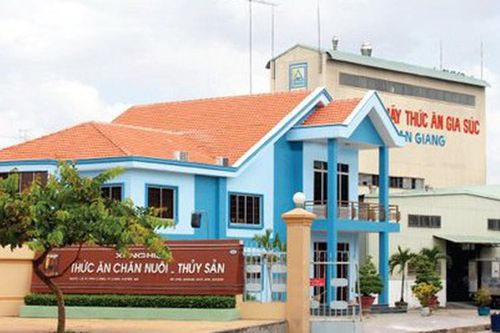 Afiex lên kế hoạch tăng vốn, 'giải bài toán' nguồn lực tài chính