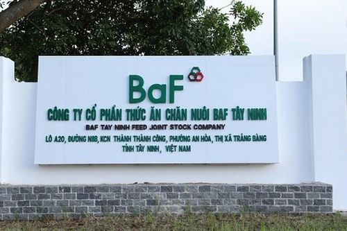 BAF chi 162 tỷ đồng 'nắm trọn' Hùng Phát Farm Một