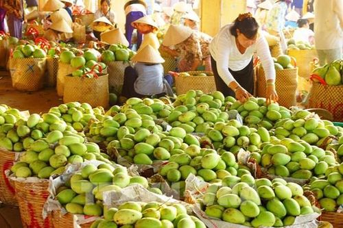 Doanh nghiệp Việt nâng năng lực xuất khẩu trong kỷ nguyên số
