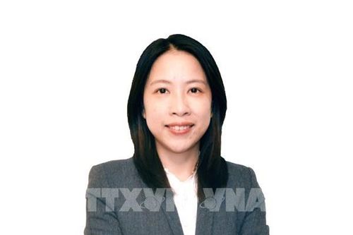 Con đường thích nghi của nông nghiệp Việt Nam