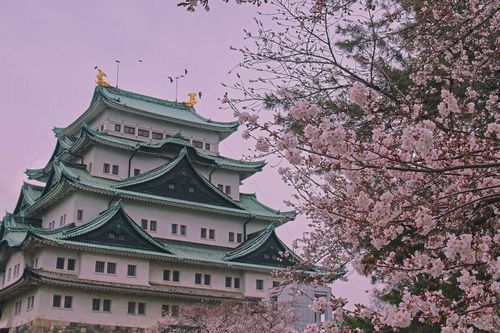Khám phá Nagoya: Những điểm tham quan nổi bật không thể bỏ qua