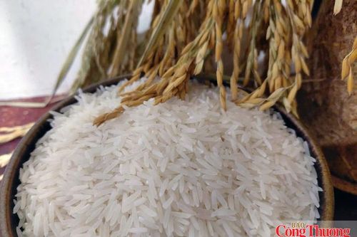 Gạo Việt Nam: Không thể chỉ cạnh tranh bằng giá