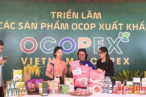 Thương mại điện tử bùng nổ, ai bảo vệ người mua?
