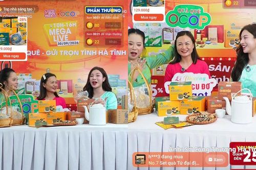 Mega Live đưa đặc sản Hà Tĩnh lên không gian số