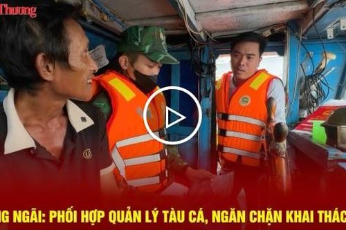 Quảng Ngãi: Phối hợp quản lý tàu cá, ngăn chặn khai thác IUU