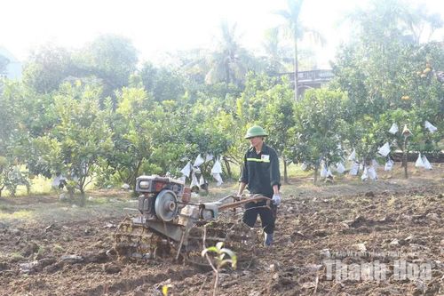 Lấy phát triển kinh tế làm “đòn bẩy”