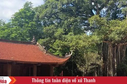 Bản hùng ca còn mãi (Bài 2): Anh hùng giải phóng dân tộc dựng nên nghiệp lớn