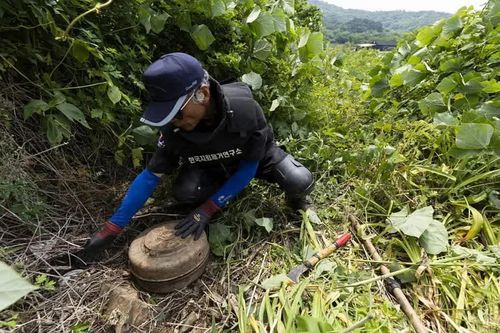 Triều Tiên bác bỏ cáo buộc đứng sau vụ nổ mìn tại DMZ
