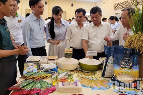 Thanh Hóa bàn giải pháp phát triển nông sản chủ lực hướng tới xuất khẩu