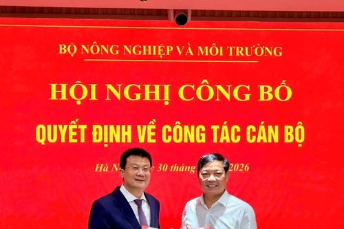 Tập trung quản lý phát thải, thích ứng biến đổi khí hậu, phát triển thị trường carbon