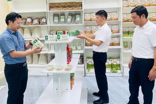 Thành lập khu trưng bày và bán sản phẩm đặc trưng của phường Nhân Hòa và các vùng, miền