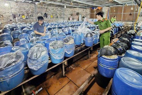 Vi phạm an toàn thực phẩm: Đâu là ranh giới giữa hành chính và hình sự?