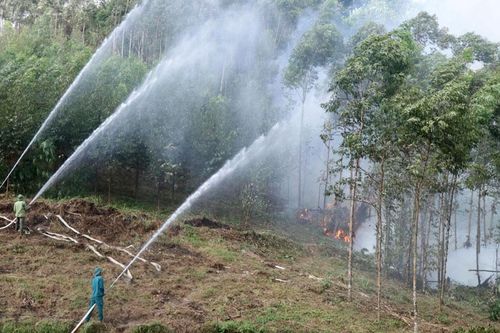 Bắc Ninh: Thực hành phương án phòng cháy, chữa cháy rừng tại xã Tây Yên Tử