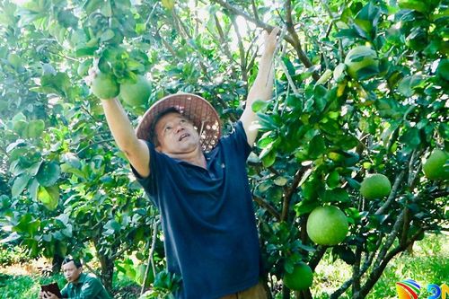 Xã Quế Phước nỗ lực xây dựng nông thôn mới